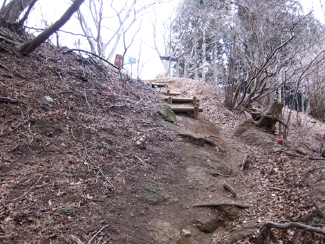 20190214hike (211)